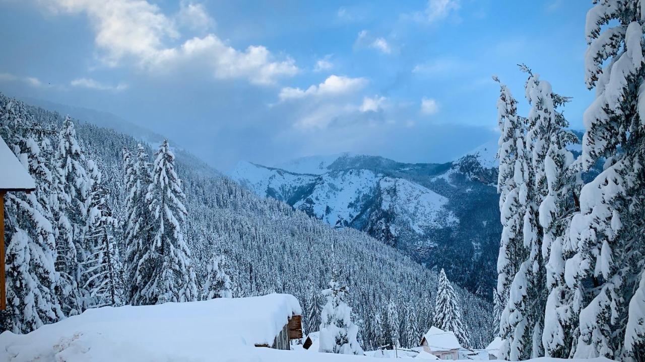 Villa Liqenat Peja Exteriör bild